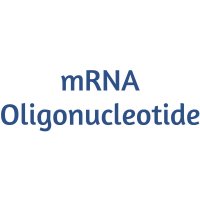 COSMOSIL mRNA and Oligonucleotide Columns