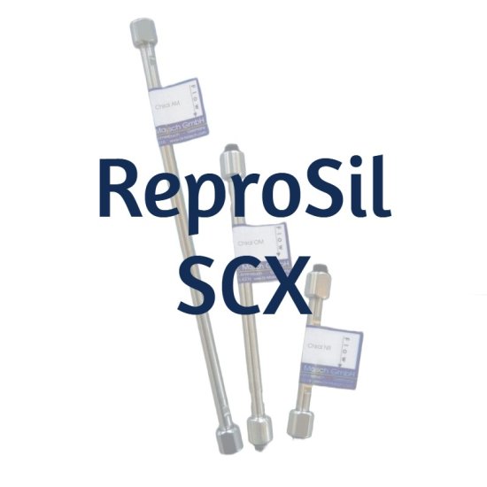 Dr. Maisch ReproSil 70 SCX Ion Exchange Analytical HPLC Column, 5 µm, 70 Å, 4.6 x 250 mm, 1/Pk - R15.SCX.S2546 - Click Image to Close