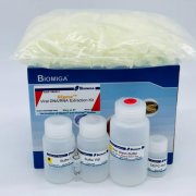 Biomiga Blood Viral DNA/RNA Mini Kit - VR6511-01