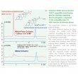 Imtakt Scherzo SW-C18 MF 2mm ID, 50mm Length, 3um,multi-mode ODS (RP+Anion+Cation), Metal-Free Column - SW022F