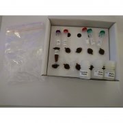 Shimadzu Standard MALDI calibration kit (TOFMix) - KTO-724R00