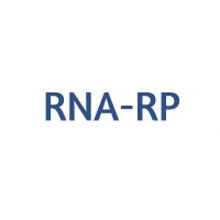 COSMOSIL RNA-RP HPLC Columns