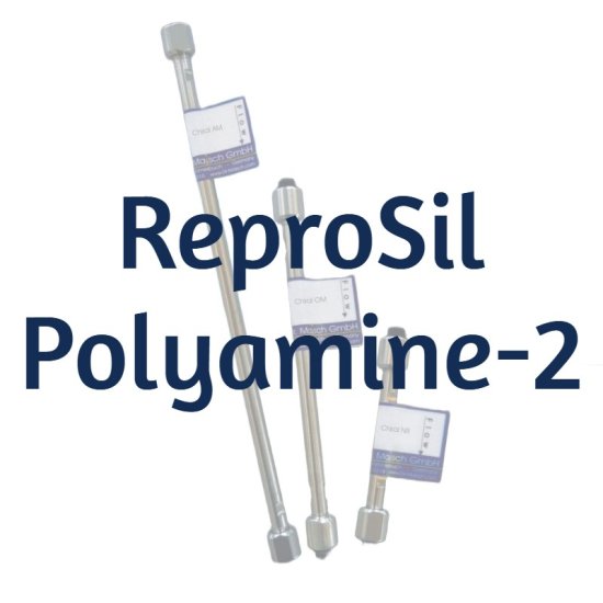 Dr. Maisch ReproSil 100 Polyamine-2 Capillary HPLC Column, 1/32" female, 3 µm, 100 Å, 0.3 x 150 mm, 1/Pk - R13.PA2.SF150.3 - Click Image to Close