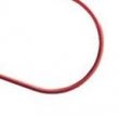 VICI Jour Solid Colour-Coded PEEK Tubing, RED, 360 µm OD x 125 µm ID, 1m/pkg - JR-T-37125-M1