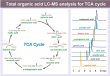 Imtakt Intrada Organic Acid 2mm ID, 75mm Length, 3um, Intact organic acid LC-MS analysis column - WOA23F