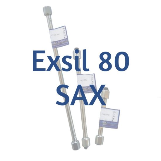 Dr. Maisch Exsil 80 SAX Analytical HPLC Column, 5 µm, 80 Å, 4.6 x 250 mm, 1/pk - 5136495.s2546 - Click Image to Close