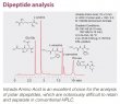 Imtakt Intrada Amino Acid 1mm ID, 250mm Length, 3um,LC-MS column for intact Amino Acids - WAA16