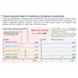 Imtakt Scherzo SS-C18 3mm ID, 100mm Length, 3um,multi-mode ODS (RP+Anion+Cation) - SS034