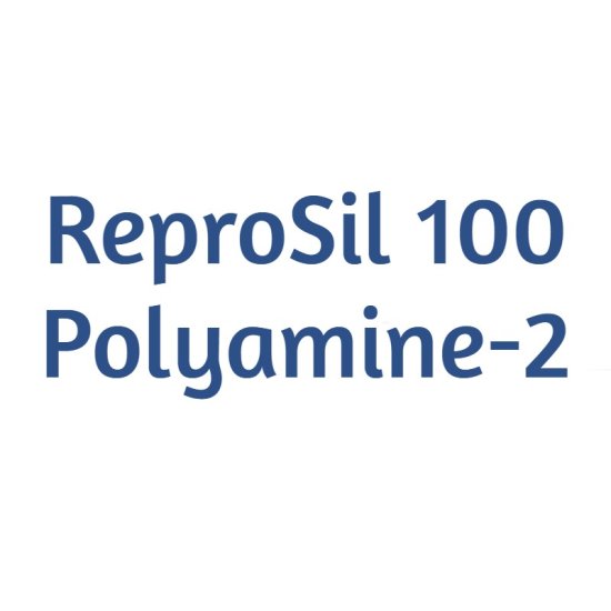 Dr. Maisch ReproSil 100 Polyamine-2 Analytical HPLC Guard Cartridge Column, 5 µm, 100 Å, 4 x 10 mm, 5/Pk - R15.PA2.V0104 - Click Image to Close