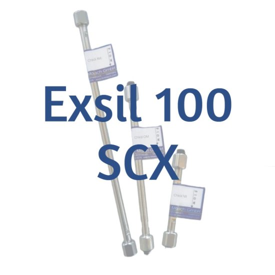 Dr. Maisch Exsil 100 SCX Analytical HPLC Column, 5 µm, 100 Å, 4.6 x 50 mm, 1/Pk - 5136530.s0546 - Click Image to Close