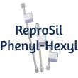 Dr. Maisch ReproSil 100 Phenyl-Hexyl Analytical HPLC Guard Cartridge Column, 10 µm, 100 Å, 2 x 5 mm, 5/Pk - R10.PH.V0002