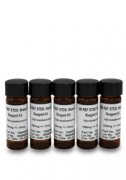 Waters MS ETD Reagent Kit - 700005669 (HAZMAT)