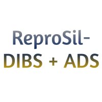 Dr. Maisch ReproSil-DIBS + ADS Columns