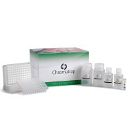 DNA Extraction / Purification
