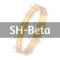 Shimadzu Chiral SH-Beta Columns