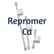 Dr. Maisch Repromer Ca (Calcium) Sugar Ligand Exchange Analytical HPLC Column, 9 µm, 4.6 x 30 mm, 1/Pk - RM9.CA.S0346