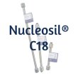 Dr. Maisch Nucleosil® 100 C18 Analytical HPLC Column, 3 µm, 100 Å, 4 x 250 mm, 1/Pk - N13.9E.S2504