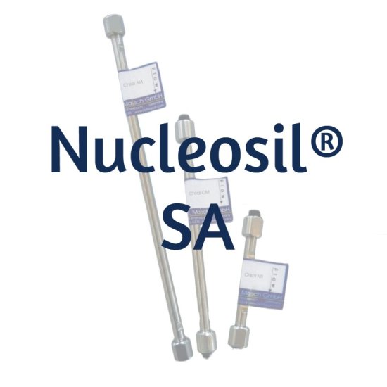Dr. Maisch Nucleosil® 100 SA Analytical HPLC Column, 10 µm, 100 Å, 4.6 x 250 mm, 1/Pk - N10.SC.S2546 - Click Image to Close