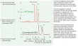 Imtakt Unison UK-Phenyl 1mm ID, 30mm Length, 3um,Phenyl,end-capped - UKP11