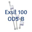 Dr. Maisch Exsil 100 ODS-B Analytical HPLC Column, 5 µm, 100 Å, 4.6 x 250 mm, 1/Pk - 5136535.s2546