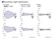 Hamamatsu Standard Deuterium lamp (X2D2 lamp), 2000 h - L9518