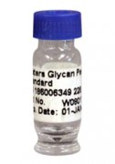 Waters Glycan Performance Test Standard - 186006349