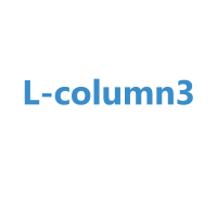 CERI L-column3 HPLC Columns