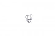 Waters ASSY, SAMPLE LOOP, 5UL - 430001311