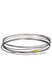 Waters Stainless Steel Tubing, ID 0.005 in. (0.127 mm), Length 10 ft (3.0 m) - WAT241039