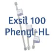 Dr. Maisch Exsil 100 Phenyl-HL Analytical HPLC Column, 3 µm, 100 Å, 4.6 x 250 mm, 1/Pk - 5136521.s2546