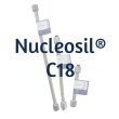 Dr. Maisch Nucleosil® 120 C18 Analytical HPLC Column, 5 µm, 120 Å, 4.6 x 20 mm, 1/Pk - N25.9E.S0204