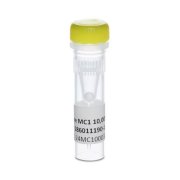 Waters RapiZyme MC1, 10,000 Units - 186011190