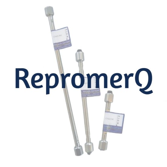Dr. Maisch RepromerQ Analytical HPLC Ion Exchange PEEK Column, 15 µm, 4.6 x 100 mm, 1/Pk - RM15.Q.P1046 - Click Image to Close