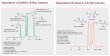 Imtakt Intrada Amino Acid 1mm ID, 250mm Length, 3um,LC-MS column for intact Amino Acids - WAA16