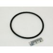 Shimadzu O-Ring, 1B G70, Gqm/Gvm - 036-12111-00, 036-12111