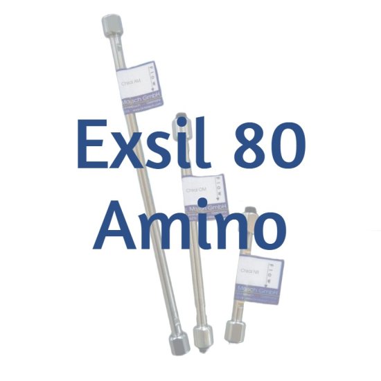 Dr. Maisch Exsil 80 Amino Analytical HPLC Column, 5 µm, 80 Å, 4.6 x 250 mm, 1/Pk - 5136488.s2546 - Click Image to Close