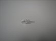 Merck Hitachi Halogen Tungsten Lamp (20W) for DAD Detectors - 890-2527