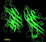 Biomiga TNFalpha, human - TN1001-100