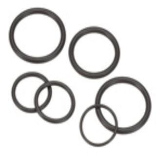 PerkinElmer O-Ring Kit. Consists of a selection of O-rings for the Optima 4000/2000 demountable torch. - N0770437 - Click Image to Close