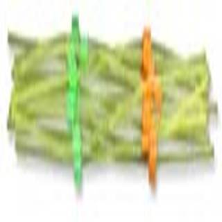 PerkinElmer MPP Solvent Tubing Flared, 0.38mm, orange green, 12/pk - N8145211 - Click Image to Close