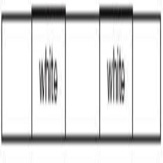 PerkinElmer White/White 1.02 mm i.d. Viton pkg. 12 - N0777442 - Click Image to Close