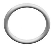 Waters O-Ring PTFE - WAT076152